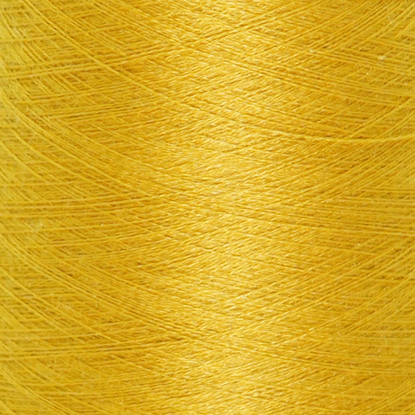 CARIAGGI JAIPUR – 112 g Kone – 70% Kaschmir 30% Seide – Golden Yellow mit strahlendem Sonnen-Unterton