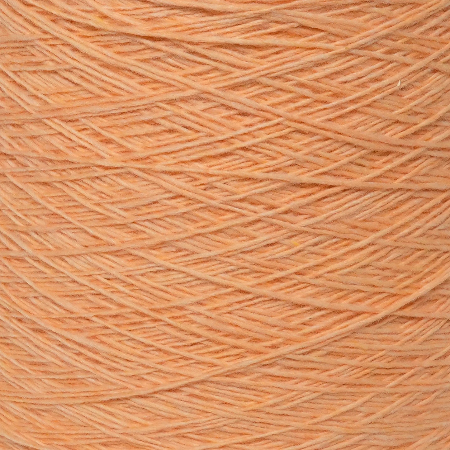 ZEGNA BARUFFA Must Baby Merino Apricot – 100% Merinowolle 100g