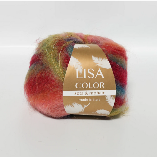 LISA COLOR Seta & Mohair Mehrfarbig – Mohair, Seide 50g