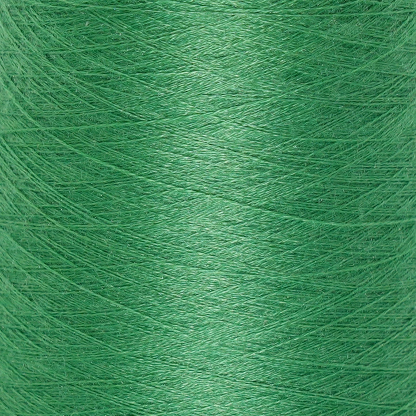CARIAGGI JAIPUR – 130 g Kone – 70% Kaschmir 30% Seide – Fresh Green mit lebendigem Frühlings-Unterton